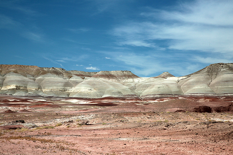 Bison : Antelope Island : Utah : Landscape Photos : Richard Moore : Photographer